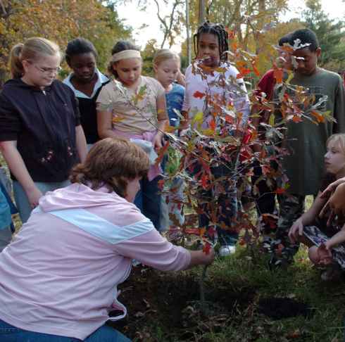 Children_learn_about_planting_trees