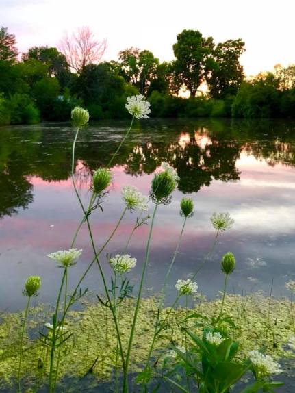 37837624_10216814612700568_1137811466062135296_n